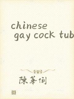 chinese gay cock tube封面