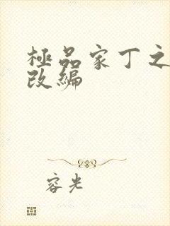 极品家丁之四季改编封面