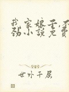 我家娘子,不对劲小说免费阅读