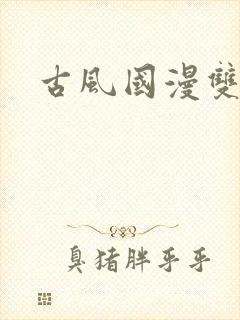 古风国漫双男主