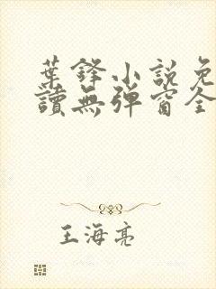 叶锋小说免费阅读无弹窗全文