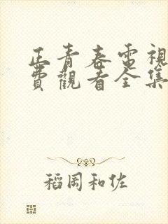 正青春电视剧免费观看全集西瓜