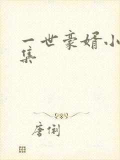 一世豪婿小说全集