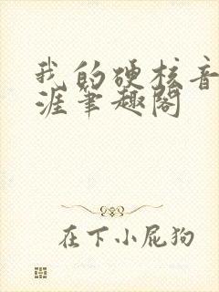 我的硬核音乐生涯笔趣阁封面