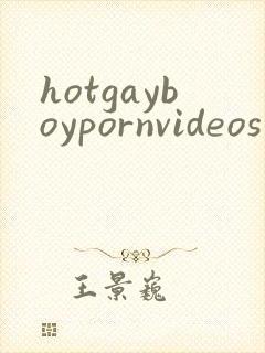hotgayboypornvideos