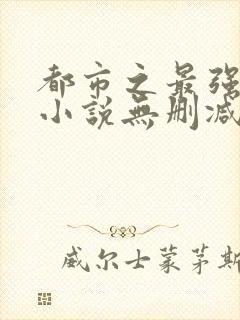 都市之最强狂兵小说无删减版