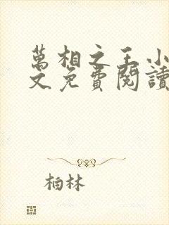 万相之王小说全文免费阅读无弹窗