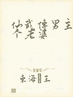 仙武传男主有几个老婆