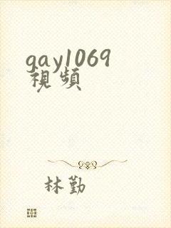 gay1069视频