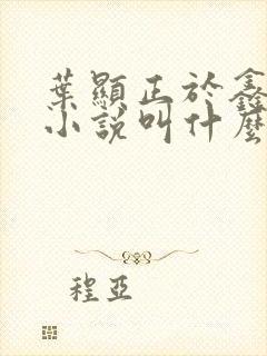 叶显正于鑫原著小说叫什么