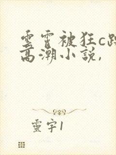 云霄被狂c躁到高潮小说,