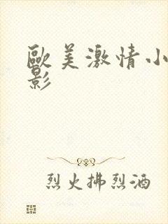 欧美激情小说电影