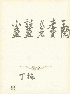 小说《老王》王盈盈免费阅读封面