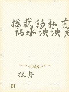 总裁的私有宝贝 祸水泱泱免费阅读