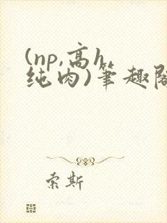 (np,高h,纯肉)笔趣阁