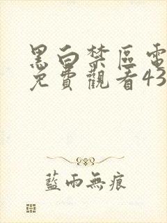 黑白禁区电视剧免费观看43集