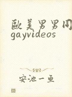欧美男男同性恋gayvideos