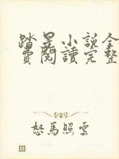 踏星小说全文免费阅读完整版无弹窗封面