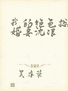 我的绝色总裁未婚妻沈浪