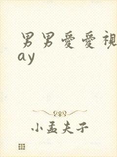 男男爱爱视频gay