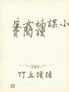 庶女嫡谋小说免费阅读封面