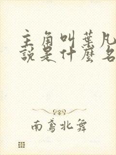 主角叫叶凡的小说是什么名字