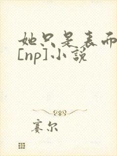 她只是表面清纯[np]小说