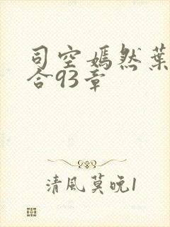 司空嫣然叶凡结合93章