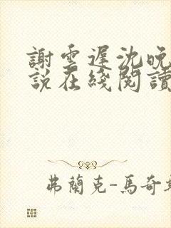 谢云迟沈晚梨小说在线阅读