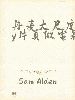 丹麦大尺度gay片真做电影