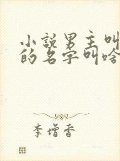 小说男主叫苏明的名字叫啥