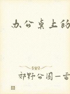 办公桌上的美味