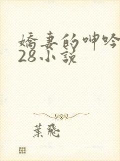 娇妻的呻吟1—28小说