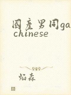 国产男同gay chinese封面