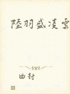 陆羽盛凌云小说