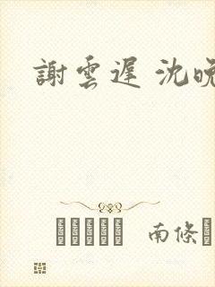 谢云迟 沈晚梨封面