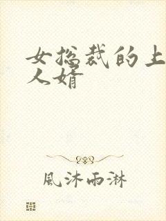 女总裁的上门女人婿