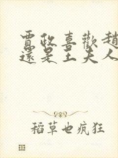 贾政喜欢赵姨娘还是王夫人封面