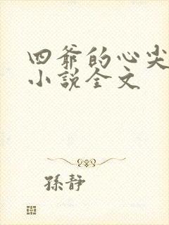 四爷的心尖宠妃小说全文封面