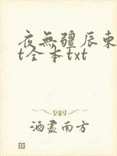 夜无疆辰东txt全本txt