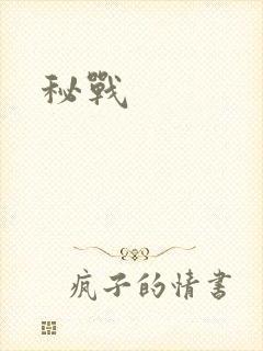 秘战