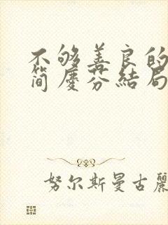 不够善良的我们简庆芬结局封面