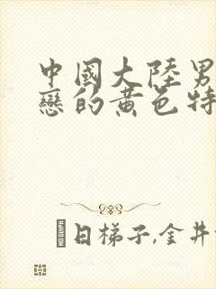 中国大陆男同性恋的黄色特级片封面