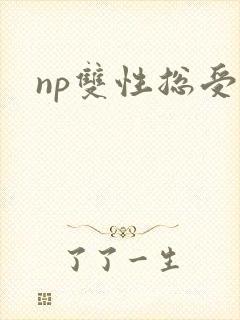 np双性总受