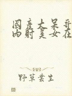 国产大呆哥双飞内射美女在线