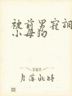 被前男宠调教成小母狗封面