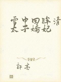 雪中回眸清穿之太子娇妃