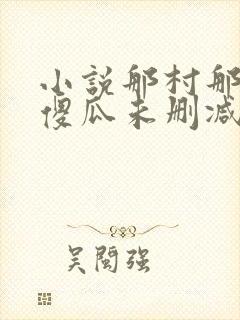 小说那村那人那傻瓜未删减版