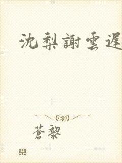 沈梨谢云迟封面