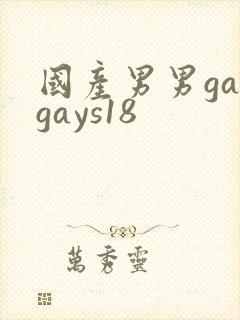国产男男gaygays18